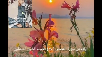 ونزعنا من كل أمة شهيدا فقلنا هاتوا برهانكم _ آيات سورة القصص الآية { ٧٥ } فضيلة الشيخ المنشاوي