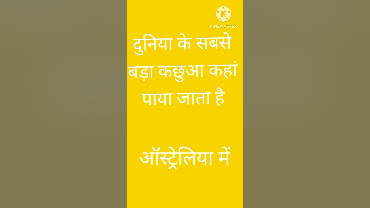 duniya ka sabse bada kachhua kahan paya jata hai YouTube