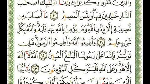 064   سورة التغابن   شيرزاد عبد الرحمن طاهر