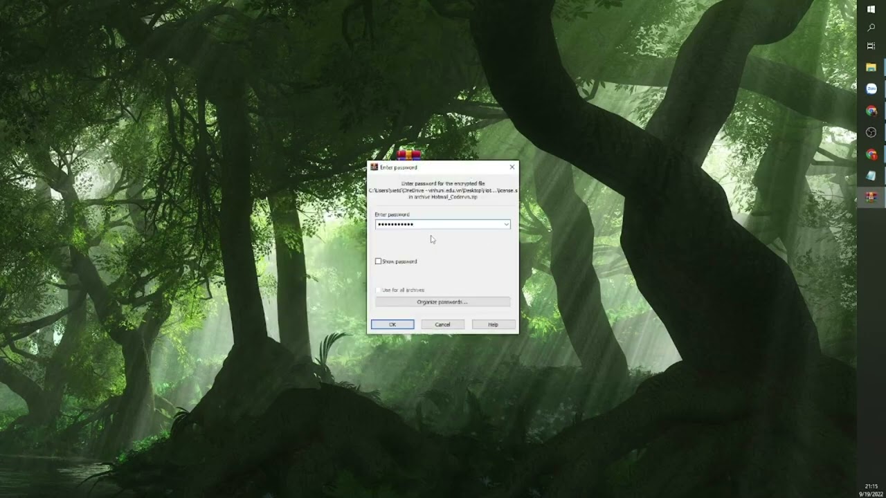 preview_player
