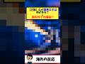 海外「なぜ日本のロボットは剣が必須なの？」素朴な疑問が「確かに…」と世界で大議論に！　#海外の反応