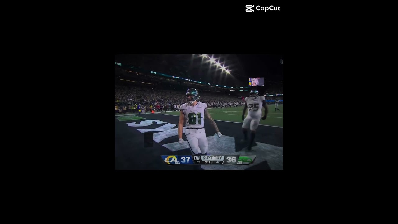 SEATTLE SEAHAWKS CLINCHED THE PLAYOFFS WERE YOU AT SEAHAWKS FANS💚💙💚