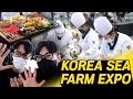 Penasaran masakan IKAN Korea?🍤 LAKI-LAKI KOREA di 2022 SEA FARM SHOW🐠| ‘2022 Sea Farm Show 수산양식 박람회‘