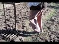 Kézi ásógép talajforgatás bio kertészet Manual shooting spading the soil organic gardening 02