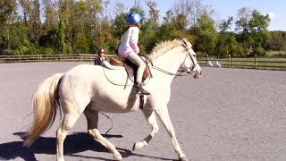 First Time Cantering on a Horse! | Crazy8Family First Time Cantering on a Horse! | Crazy8Family