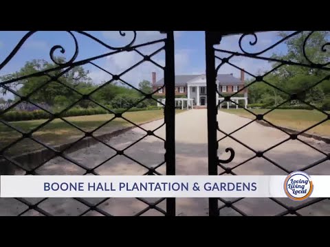 Vídeo: O que é plantação de Boone Hall?