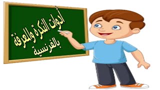 تعرف علي أدوات النكرة والمعرفة باللغة الفرنسية. Les articles (définis et indéfinis)