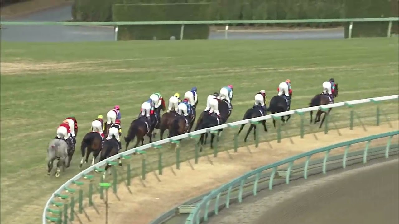Gold Ship's legendary 2012 Arima Kinen run (with the Arima Kinen