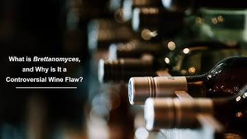 What is Brettanomyces?