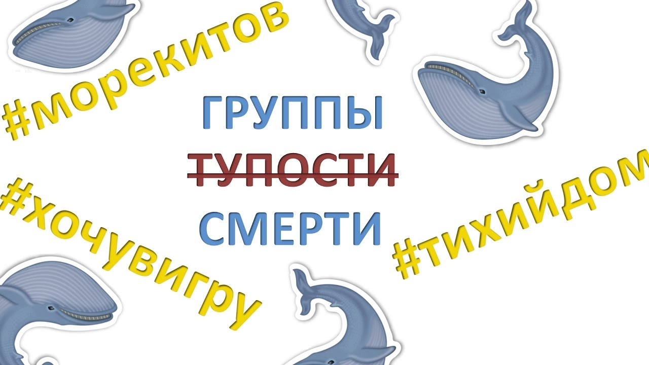 Сантехника В Липецке Магазины Синий Кит