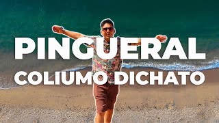 Dia de playas | Coliumo | Dichato | Pingueral | 4K