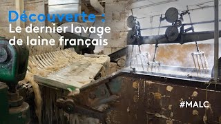 Découverte : le dernier lavage de laine français