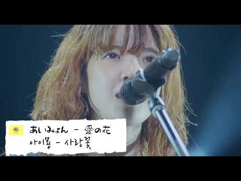 あいみょん 愛の花