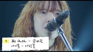 Video thumbnail of "아이묭 - 사랑꽃 (あいみょん - 愛の花)"