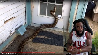 THIS THING HUGE! The Most Incredible Cases Of Wild Animals Invading People's Homes!