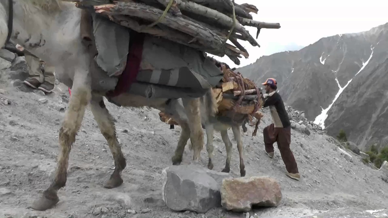 ナンガ パルバット8125ｍルパール谷トレッキング Nannga Parbat Rpal Valley Trekking In Pakistan Youtube