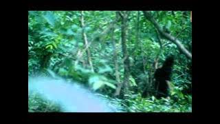Nazar Nazar (Full Song) Film - Nazar