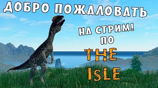 The Isle Evrima Играю за Дилофозавра в The isle #theisle #theisleevrima