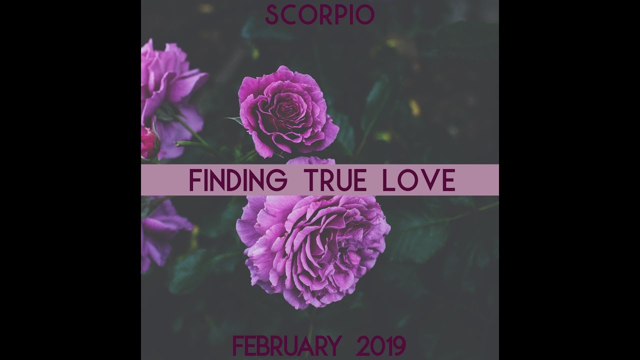 Scorpio - How to Find True Love - February 2019