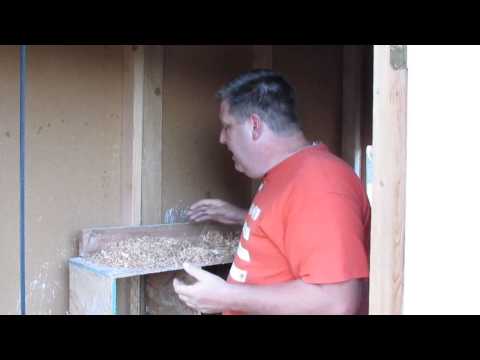 How to keep chickens from eating their eggs