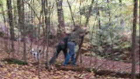 Moboo Forest by Muotak