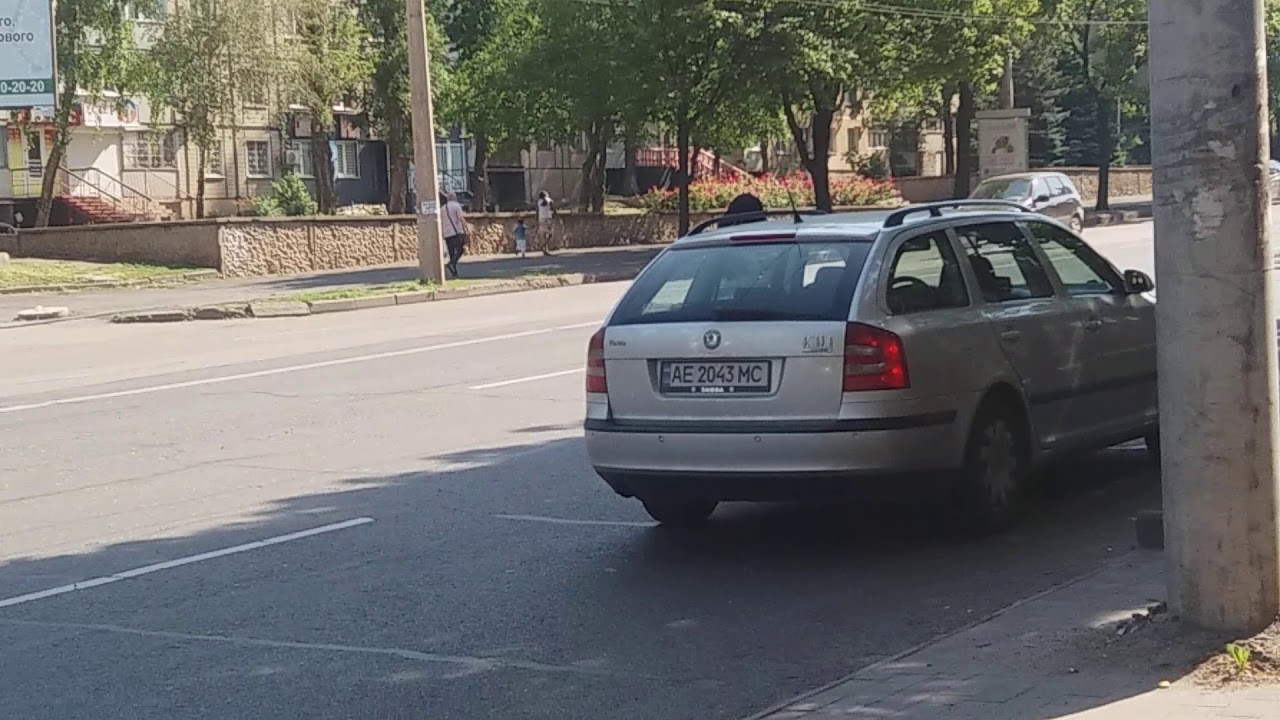 Шкода рапид полиция