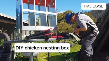 TIME LAPSE : DIY 6 chicken nesting box flat pack