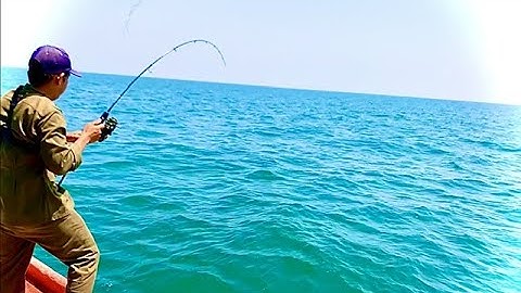 câu cá biển\ câu jigging cá chéc cá bè trang\luna cá bè trang\ câu cá kẽm biển @giangngofising