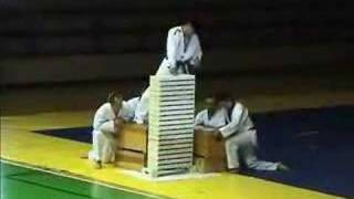 large master Kang (tameshiwara)