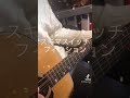 スキマスイッチ/フィクション ギター 弾き語り 歌ってみた お茶丸。#弾いてみた #歌ってみた #ギター #弾き語り #拡散希望 #スキマスイッチ #フィクション