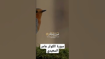 سورة الكوثر#تلاوة هادئة_القرآن_الكريم #سورة الكوثر#عامر السعيدي#shortvideo# #قرآن #quran