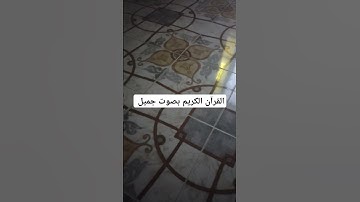 القرآن الكريم بصوت جميل #اكسبلور #تيك_توك #لايك #قرآن #راحة_نفسية #ترند #quran