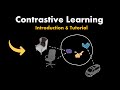 Contrastive learning in pytorch  part 1 introduction
