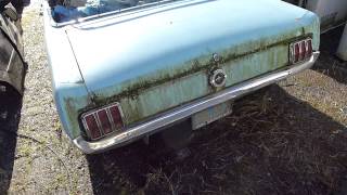 Junkyard Find: I think I found a 1964-1/2 K  Code Mustang Convertible !