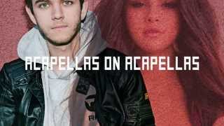 Zedd - I Want You To Know (ft. Selena Gomez) | ACAPELLA