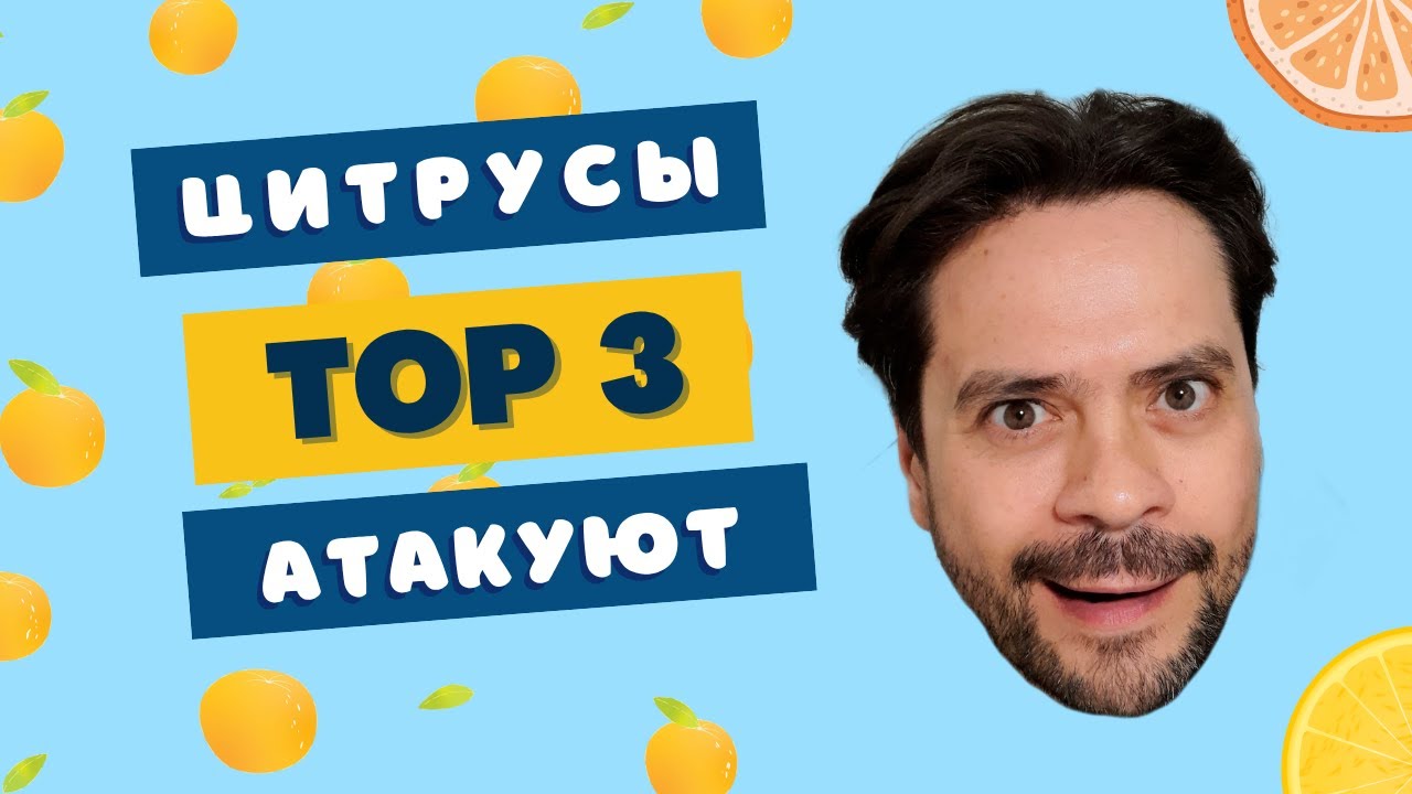 БОДРЫЕ ЦИТРУСЫ 🍊 БЮДЖЕТНАЯ ТРОЙКА