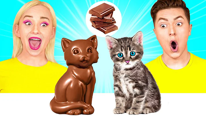 Real Food vs Chocolate Food Challenge #5 by HAHANOM Challenge