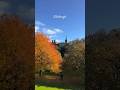 Autumn in edinburgh 