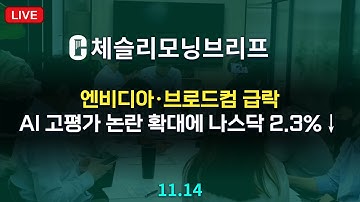 [체슬리모닝브리프] 엔비디아·브로드컴 급락…AI 고평가 논란 확대에 나스닥 2.3%↓ [25/11/14]