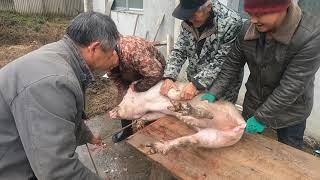 Pig Slaughter - It’s too easy for a butcher to kill 60 catties of pigs