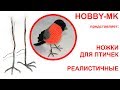 Реалистичные ножки для птичек - легко!