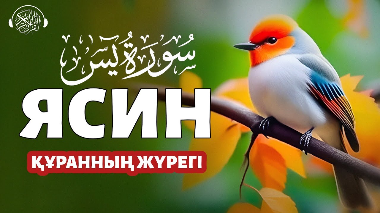 Ясин сүресі, Құранның жүрегі! Quran Suresi 