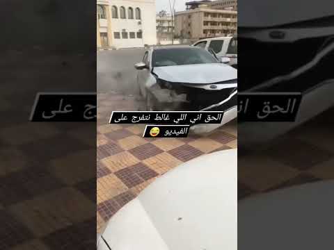 فيديو: 40 أسماء كلب قوية لكلبك النبيل ، حارس الكلب