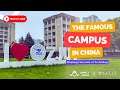 Discover daily  vlog  zhejiang university of technology zjut vlog