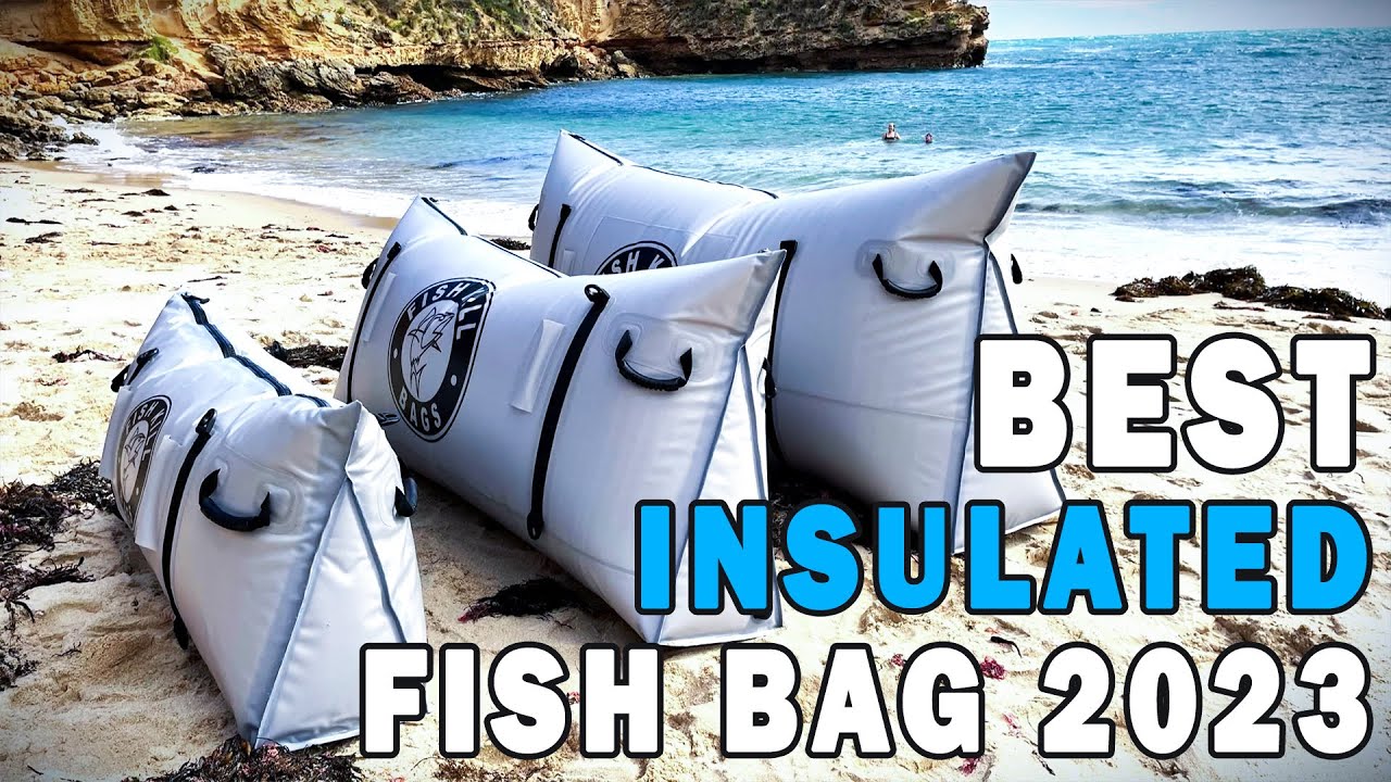 Best Insulated Fish Bag - Buying Guide [2023 Update] 