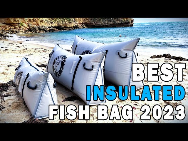 Best Insulated Fish Bag - Buying Guide [2023 Update] 