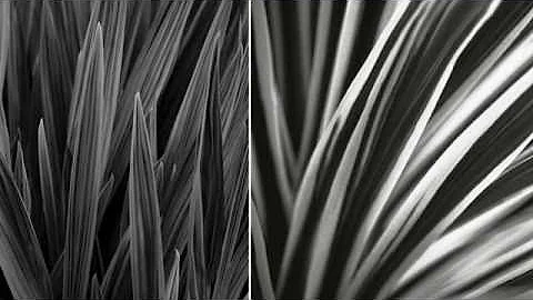 Carol Sharp - Rhythm Collection