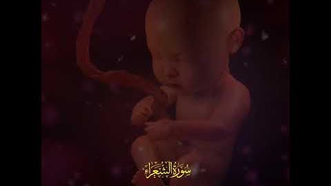 الذي خلقني فهو يهدين(٧٨)سورة الشعراء قارئ محمد صدیق المنشاوي(رحمه‌الله) القرآن الكريم