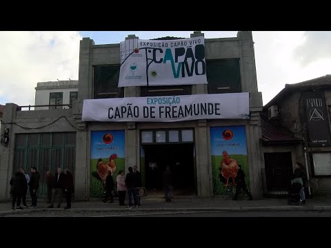 (VÍDEO) Exposição "Capão Vivo" na Feira de Santa Luzia 2023