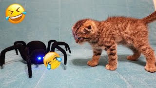 Best Funny Dogs and Cats Videos😺🐶Funniest Animal videos 2024😛Part 8